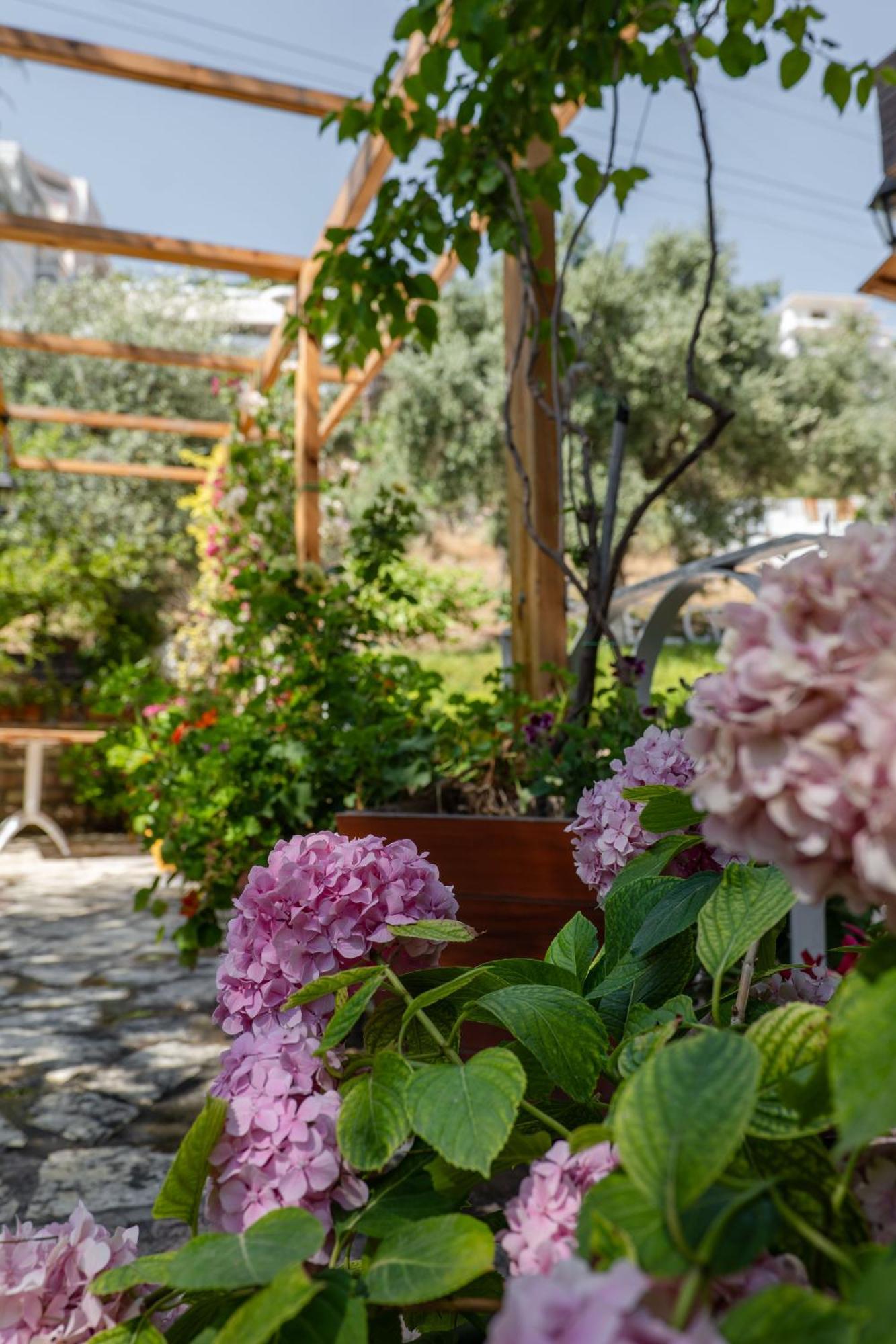 Villa Green Garden Sarandë Exterior foto